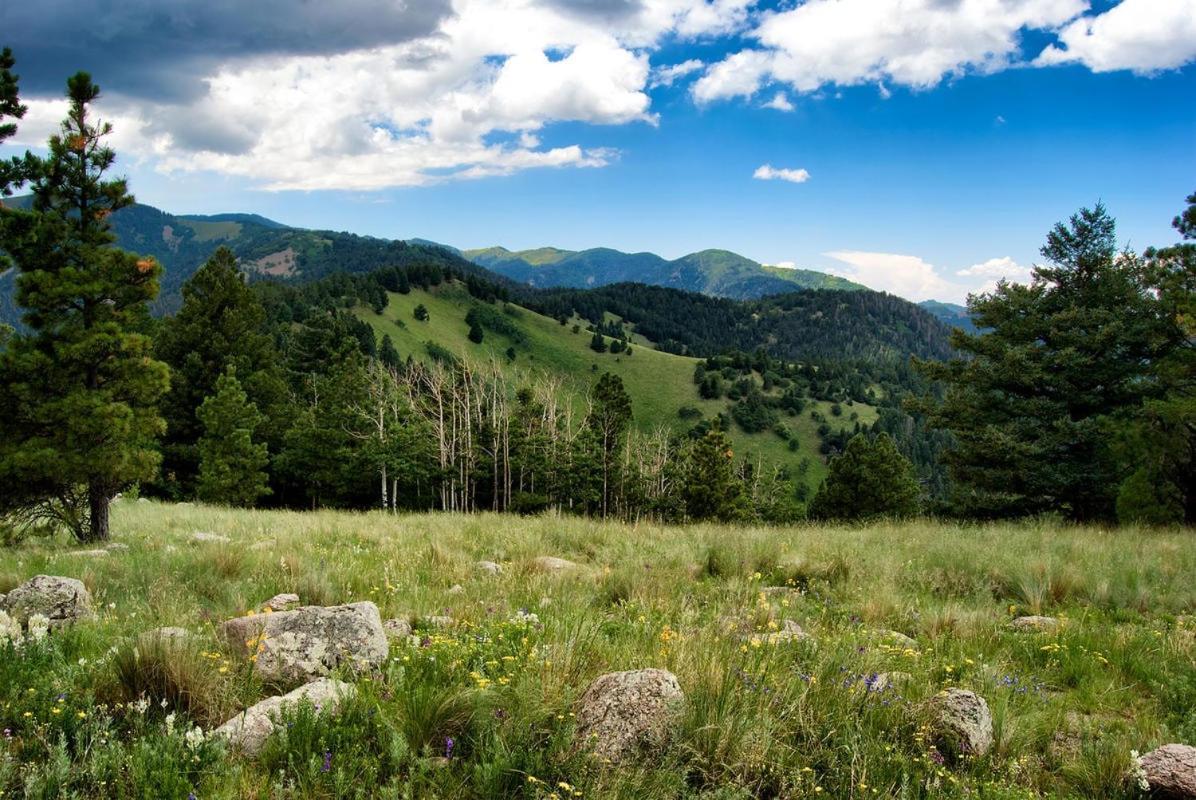 Вілла Sugar Butter Chalet Руідозо Екстер'єр фото